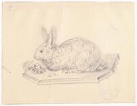 KT 2009 028-354
<br/>
Konijn op plateau.
<br/>
<em>Trigt, Stephanus Hendrik Willem van (1790-1840)</em>